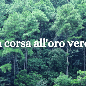 Tutti vogliono piantare alberi (ma lo spazio sta finendo…)