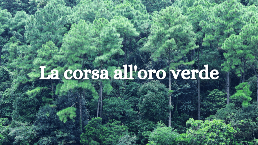 Tutti vogliono piantare alberi (ma lo spazio sta finendo…)