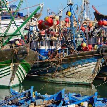 Pesce vegetale: dopo la carne “finta”, anche il pesce diventa vegano