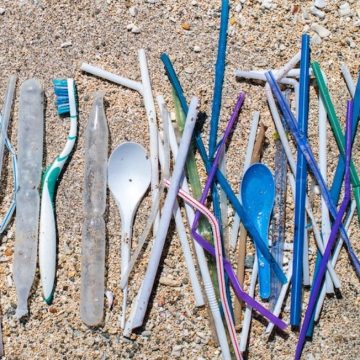 Plastica monouso, lo scontro fra Italia e Unione Europea