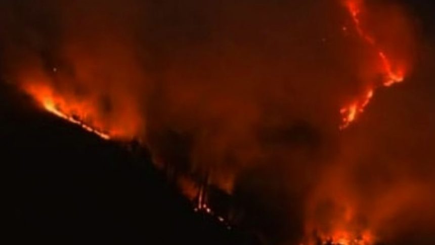 Incendio a Sesto Fiorentino