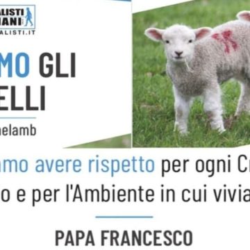 Il volantino degli animalisti