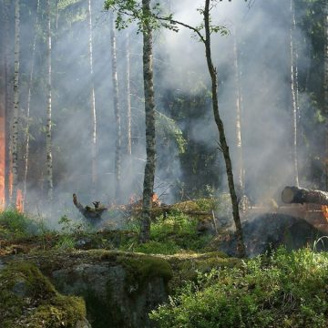 Incendi in Sardegna