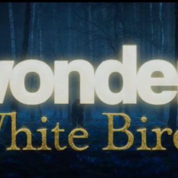 Wonder- White Bird