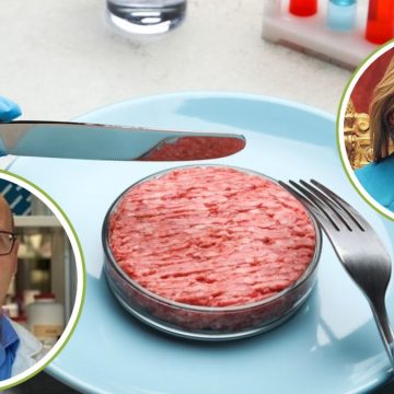 Stop carne coltivata: come il Governo e Slow Food mettono a stecchetto il futuro alimentare e ambientale