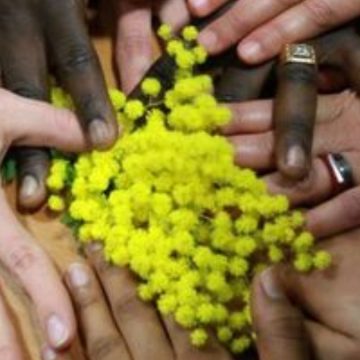 Festa delle donne con il bonus mamme? No, le solite mimose e.. un bel gelato