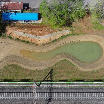 Trenord con “Piantalalì” rafforza le reti della biodiversità a Nord di Milano