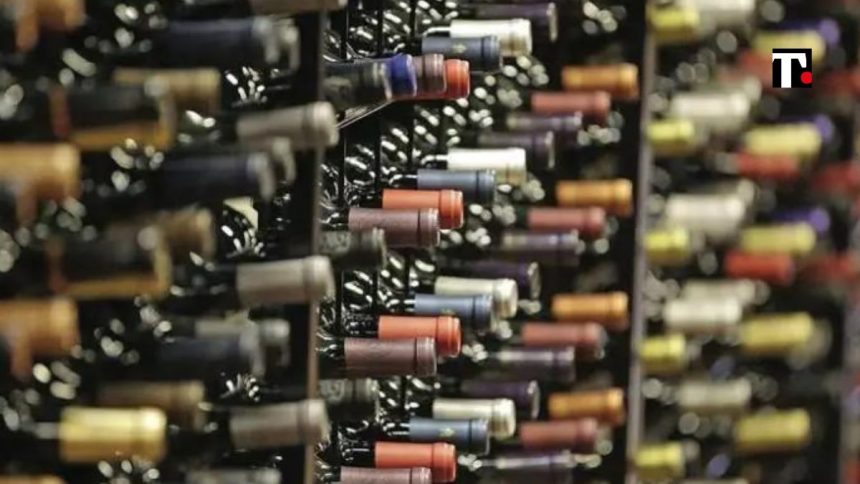 Una bottiglia a 100mila euro? Se il vino non si beve ma si mette in cassaforte